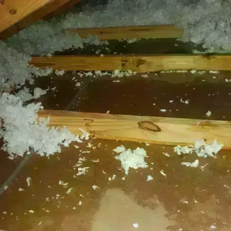 Attic Water Damage in Five Points, FL