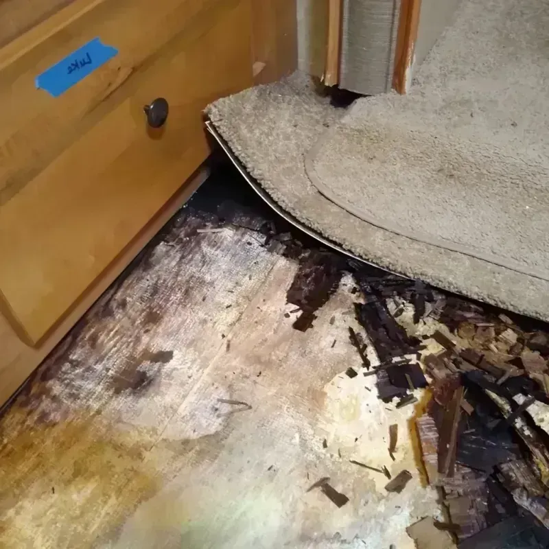 Wood Floor Water Damage in Five Points, FL